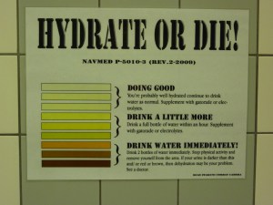 Sign in most bathrooms on base