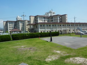 View of the back of our building - the low 2-story one in the foreground