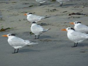 Just passin' through