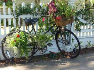 Greetings from Coronado