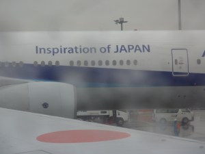 ANA Nippon Airlines